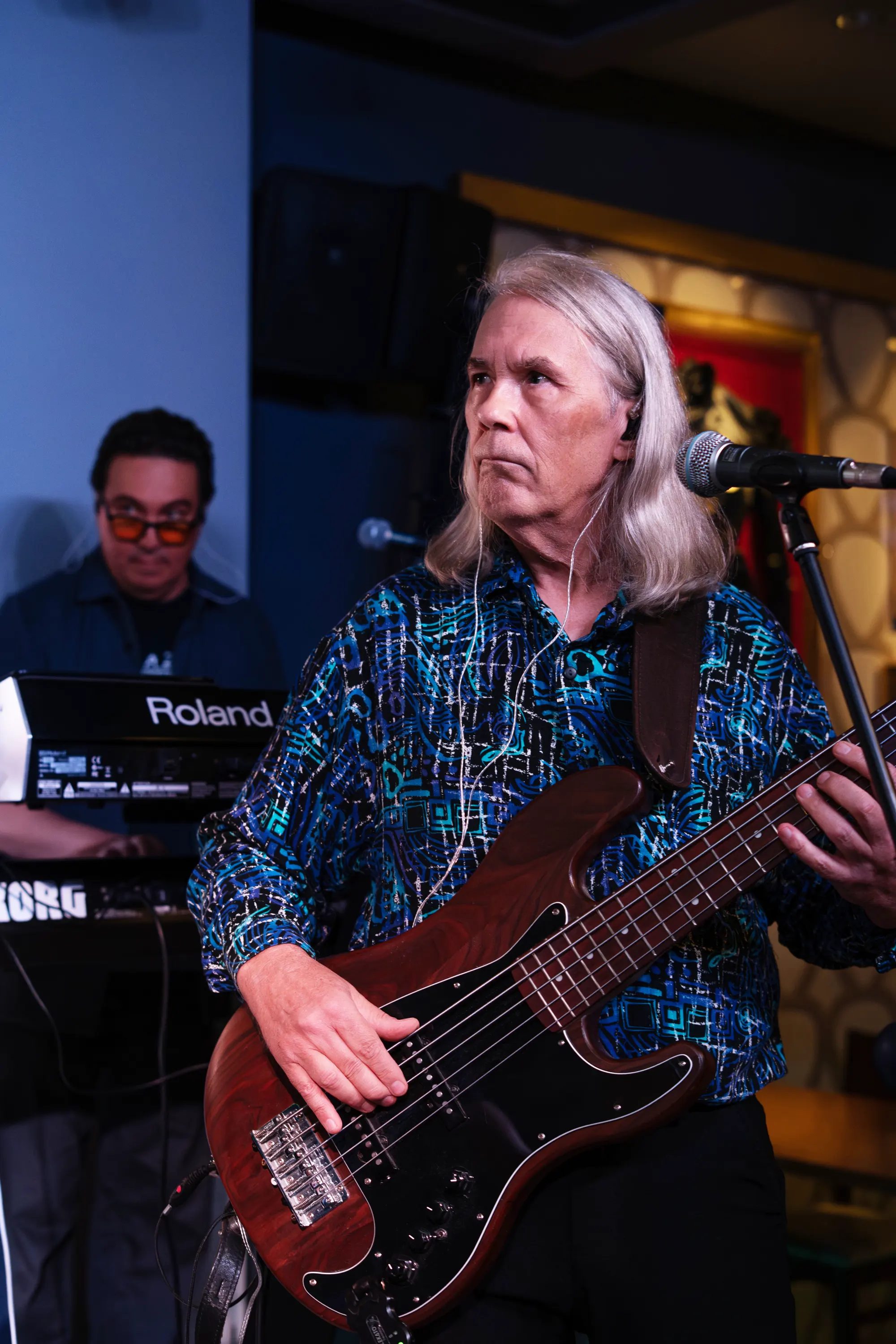 OTAVA bass player performing